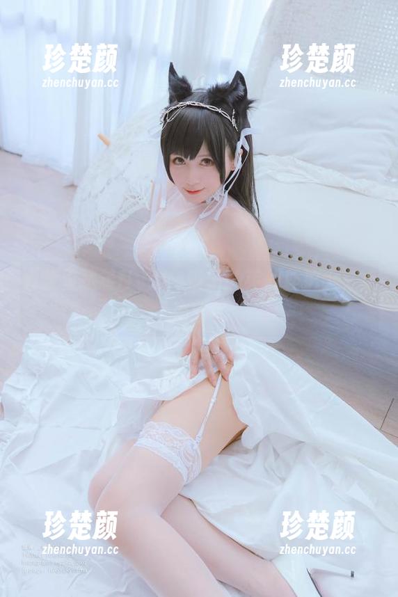 合集里藏着Nyako喵子的英仙座护士，点滴回忆