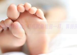 这是ROSI的豹纹合集，壁纸就像租房一样，真得挑挑再挑！