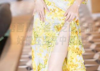 XIAOYU语画界 - 徐莉芝的作品：这花嫁，好像在空气中舞蹈？