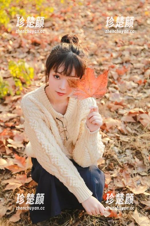 跨次元的女仆来了！fushii_海堂写真集下载指南