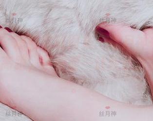 微密圈 - 精致定制图集：丝月神+白色筒袜+肉丝高跟，那画面…让我想象的太多了。