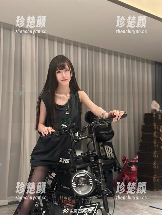 当我看到这全套甄姬图集，腐团儿Ikaros你是想让我直接沉浸在这美丽中吗？
