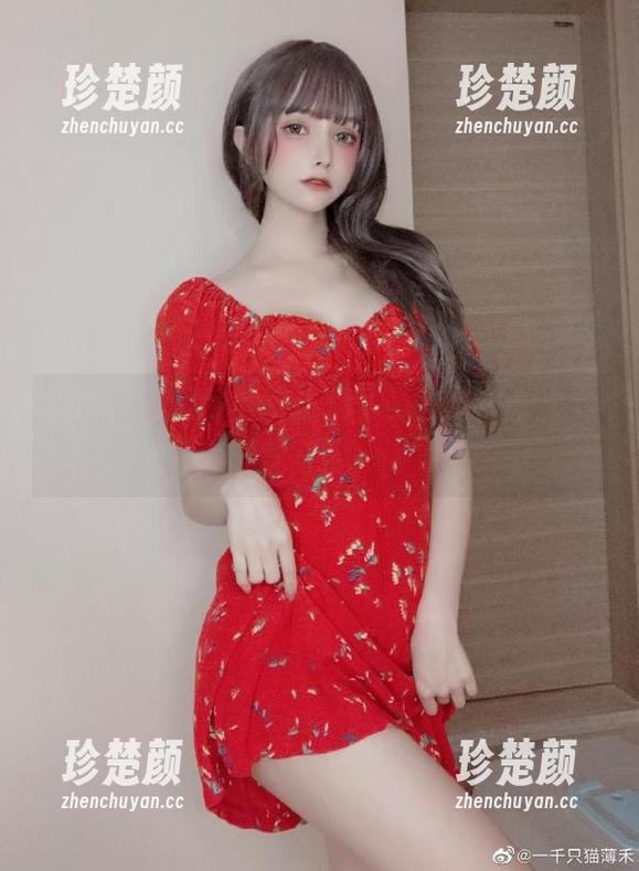 就这样，超级小禾儿来了蔚蓝档案合集下载开启！