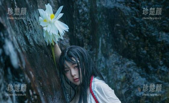 看阿寨寨ninja的美图，我决定改行做巫女