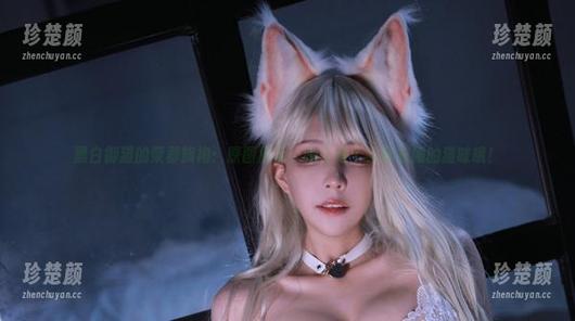 黑白御猫的柴郡旗袍：原图展示，她可是个会穿衣服的猫咪哦！